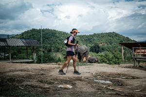 BIB: 
                            <button type="button" onclick="openModal(22423293)" class="btn btn-primary btn-sm float-right btn-popup" data-toggle="modal" data-target=".modal-high-quality">
                        <i class="fas fa-shopping-cart"></i> Add to Cart
                    </button>
                                            <button type="button" onclick="isThisMe(22423293, true)" class="btn btn-success btn-sm float-right btn-popup btn-isme hidden" data-toggle="tooltip" data-placement="bottom" title="นี่คือรูปของคุณใช่ไหม คลิกที่นี่เพื่อเอาเข้าอัลบั้ม">
                        <i class="fas fa-plus"></i> Add to album
                    </button>
                    <button type="button" onclick="isThisMe(22423293, false)" class="btn btn-warning btn-sm float-right btn-popup btn-isnotme hidden">
                        <i class="fas fa-ban"></i> Remove from album
                    </button>